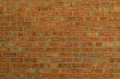 Brick Wall